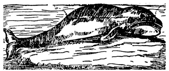 C:\Users\USER-3\Downloads\WhatsApp Image 2022-12-19 at 5.05.11 PM.jpeg